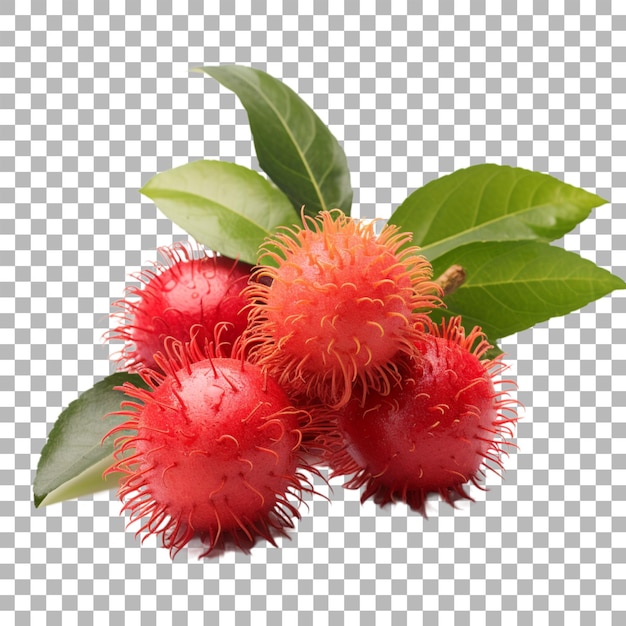 PSD rambutan on transparent background