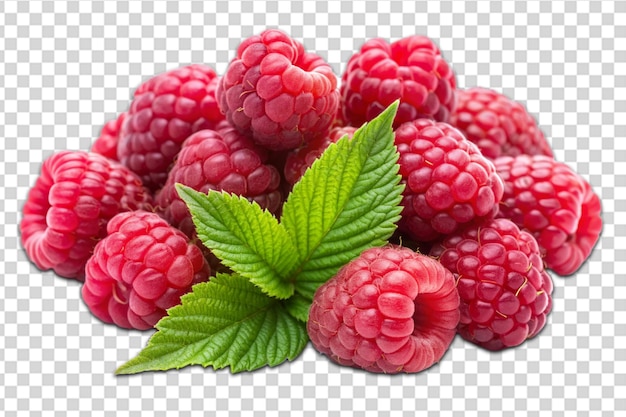 Raspberries png