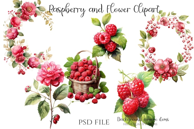 Raspberry and flower clipart