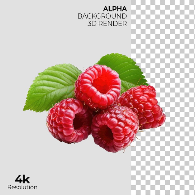 raspberry on Transparent Background