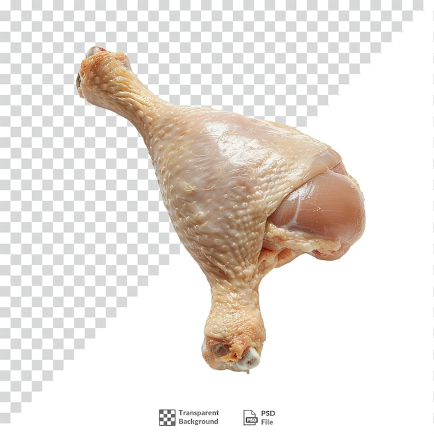 PSD raw chicken drumstick transparent background