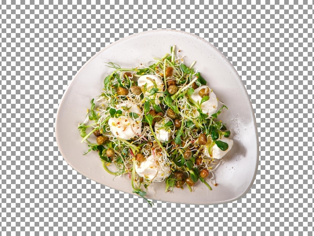 Raw sprout microgreens isolated on transparent background