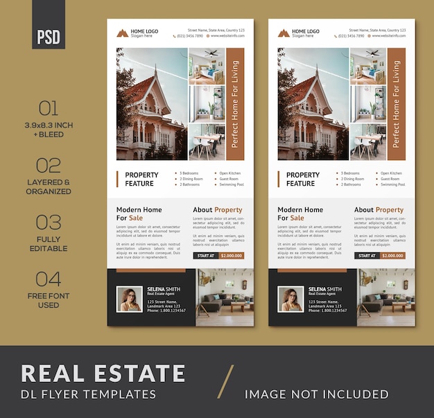 Real Estate DL Flyers