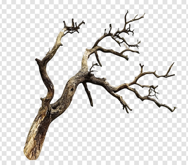 Realistic 3D Dead Tree with Bare Branches and Twisted Trunk