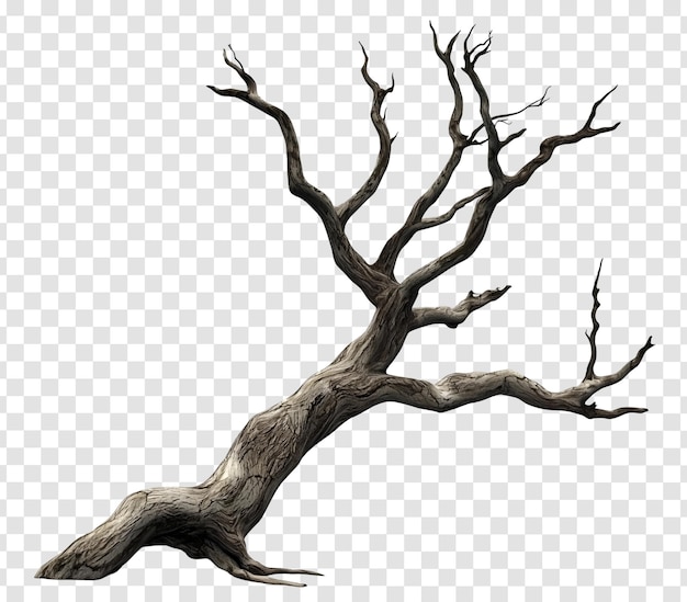 PSD realistic 3d dead tree with bare branches and twisted trunk