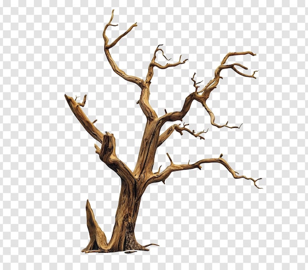 PSD realistic 3d dead tree with bare branches and twisted trunk