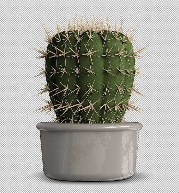 Realistic 3d render of isolated cactus