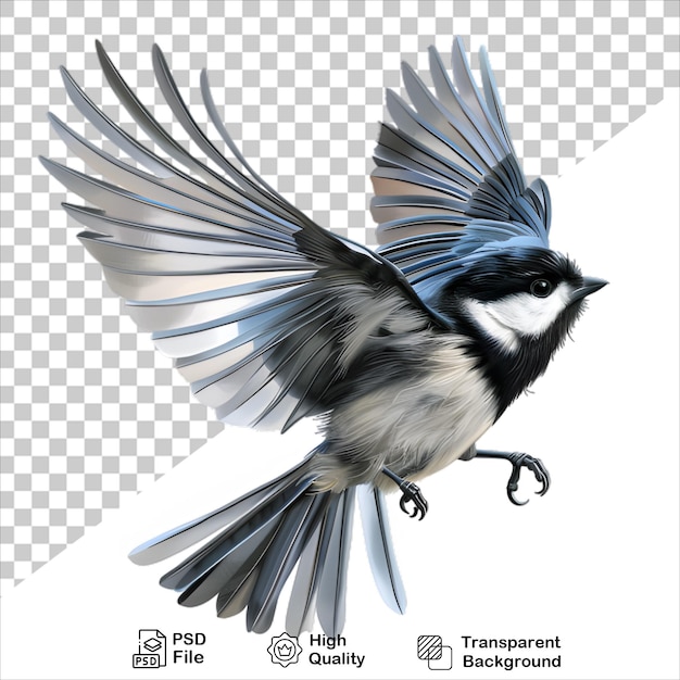 Realistic Bird in Flight Isolated on Transparent Background