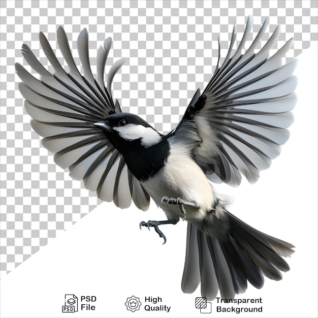 Realistic Bird in Flight Isolated on Transparent Background