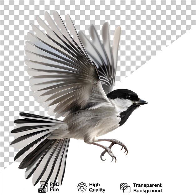 Realistic Bird in Flight Isolated on Transparent Background