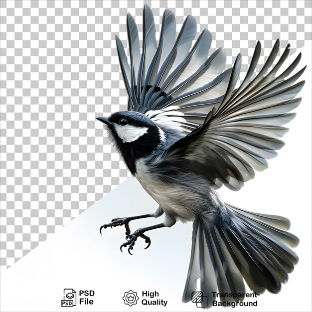 PSD realistic bird in flight isolated on transparent background