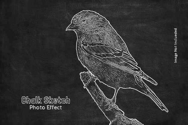 Realistic black board chalk sketch photo effect