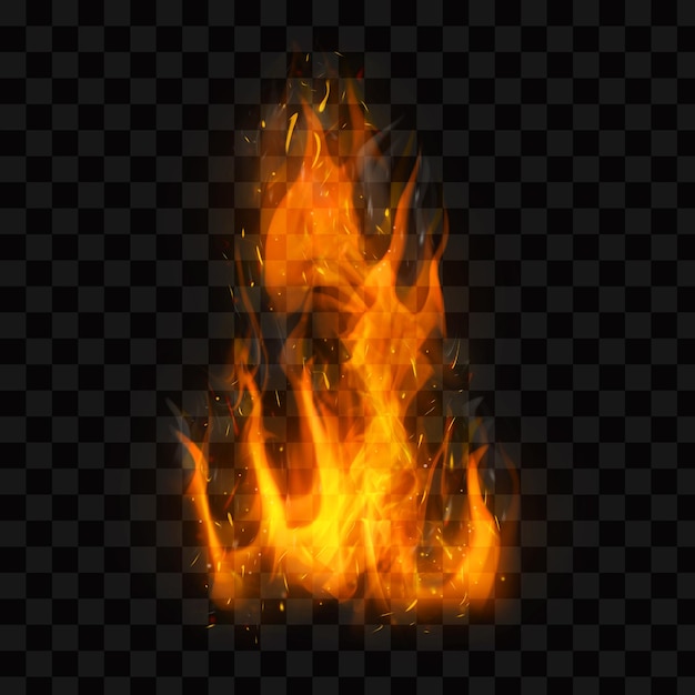 Realistic burning fire flames Burning hot sparks realistic fire flame Fire flames effect