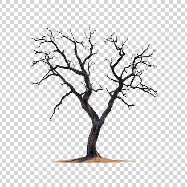 PSD a realistic dry burnt tree isolated on a transparent background