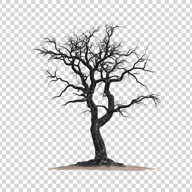 PSD a realistic dry burnt tree isolated on a transparent background