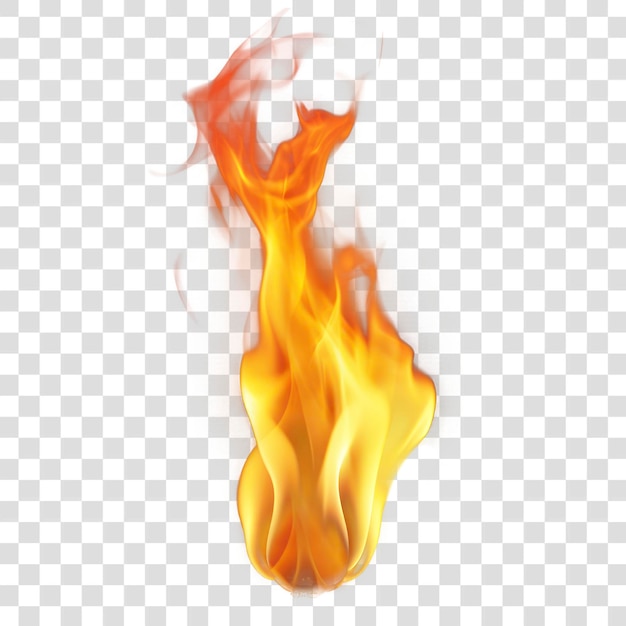 PSD realistic flame on transparent background