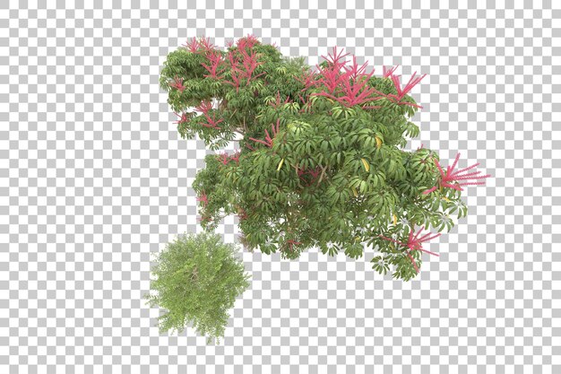 Realistic forest isolated on transparent background 3d rendering illustration