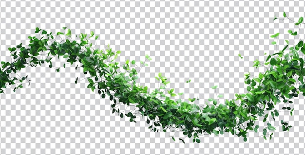 PSD realistic green leaves bush and vines with transparent background