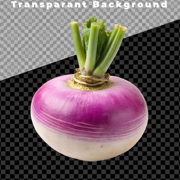 PSD realistic image of beetroot