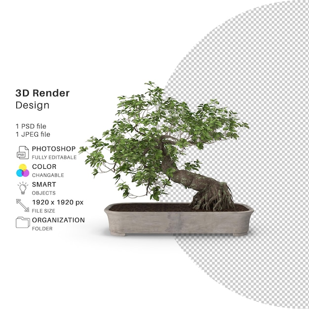 Realistic Indoor Bonsai Plant for Interior Decoration