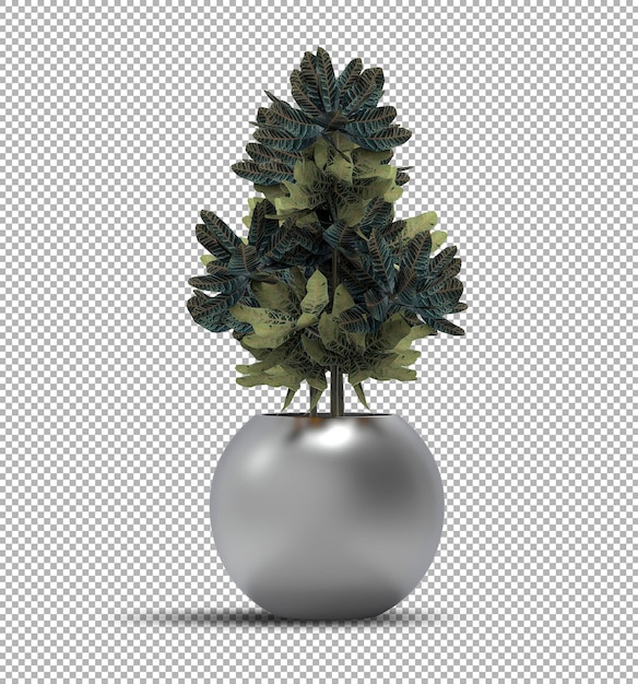 Realistic Isolated Potted Plant Render