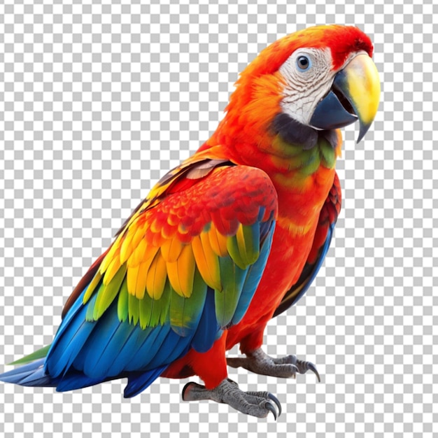 PSD realistic macaw parrot isolated on transparent background