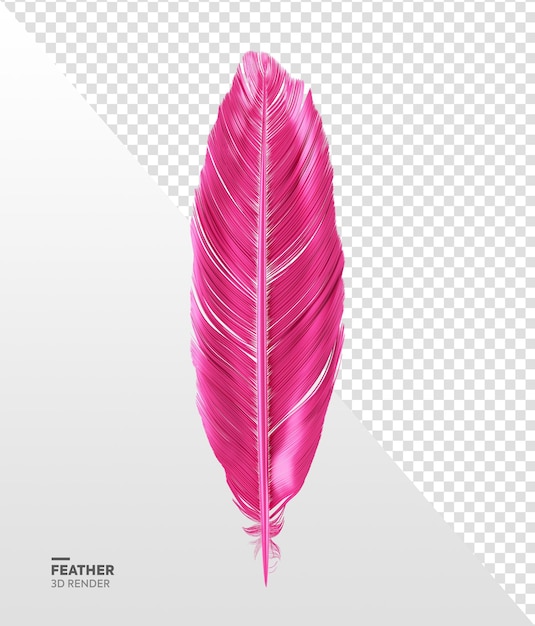 Realistic pink feather element 3d