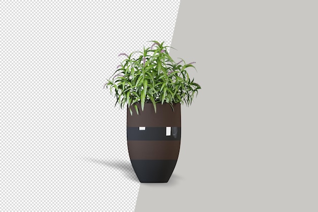 Realistic plant in 3d rendering