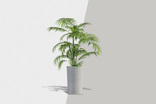 Realistic plant in 3d rendering