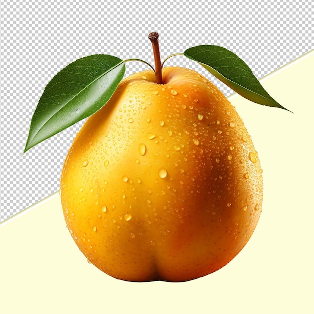 Realistic png apple with a transparent background