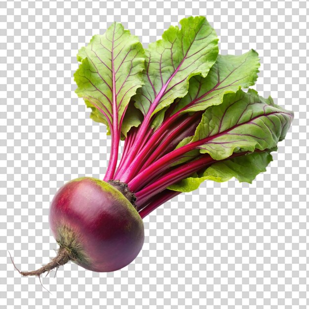 A red beet with green leaves on transparent background