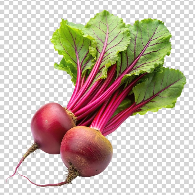 A red beet with green leaves on transparent background