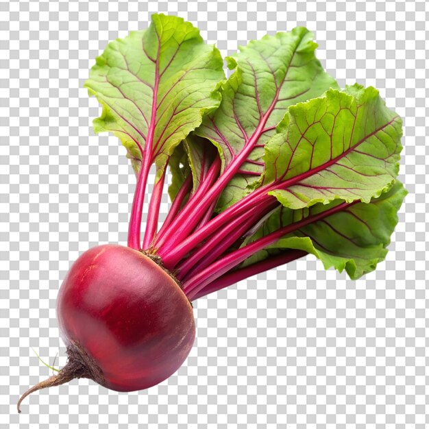 A red beet with green leaves on transparent background