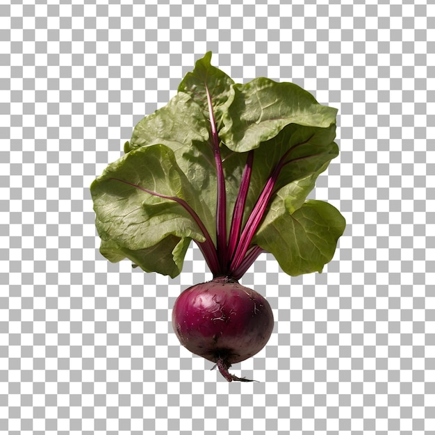 PSD red beetroot with leaves isolated on transparent background