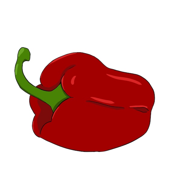 Red bell pepper isolated in simple style Digital illustration