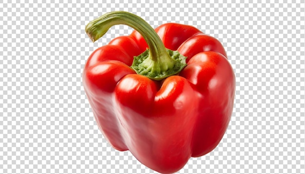 Red bell pepper isolated on a transparent background