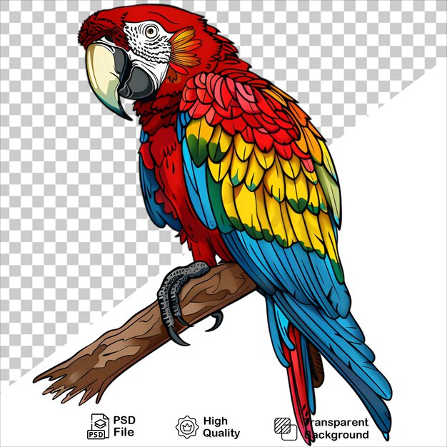 PSD red and blue feathered parrot on a transparent background