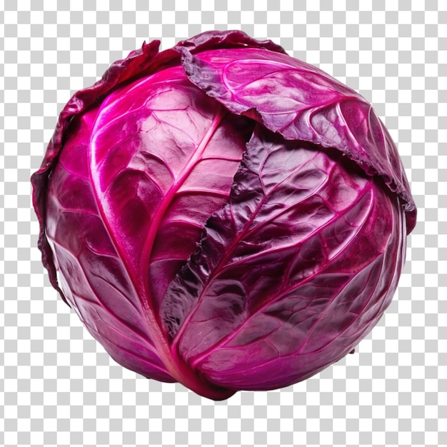 Red cabbage isolated on Transparent background