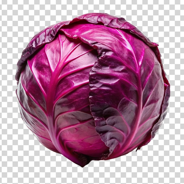 Red cabbage isolated on Transparent background