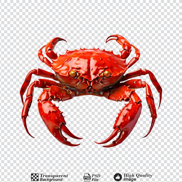 red crab isolated on transparent background