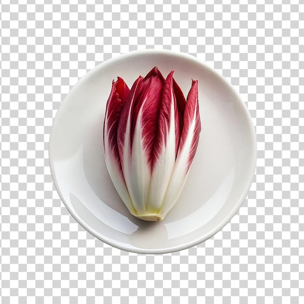 Red endive head on white plate isolated on transparent background