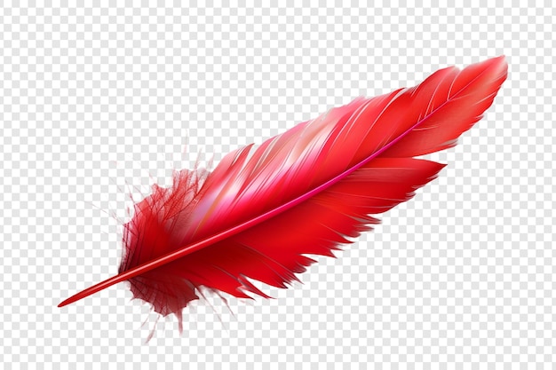 red feather isolated on transparent background