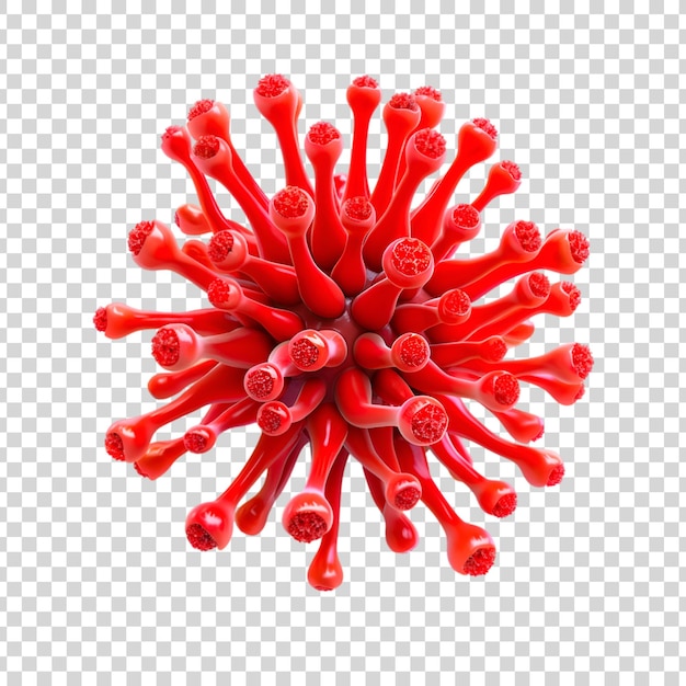 Red flowers on a transparent background