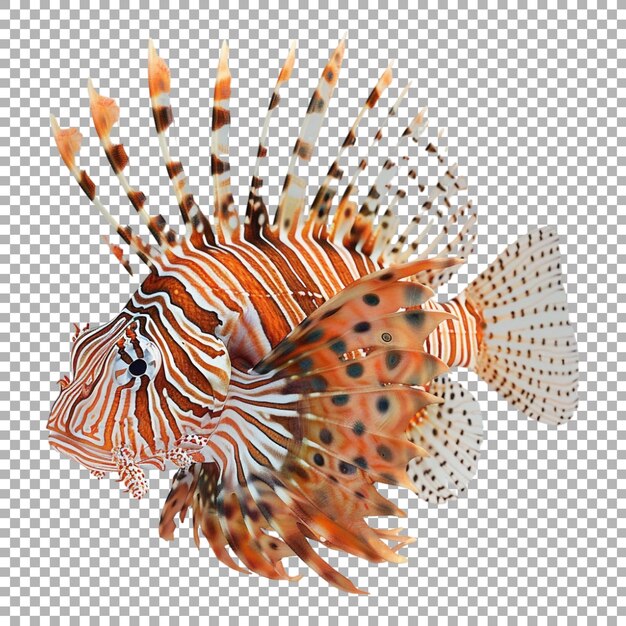 PSD red lionfish on transparent background ai generated