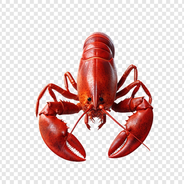 PSD a red lobster with a black background