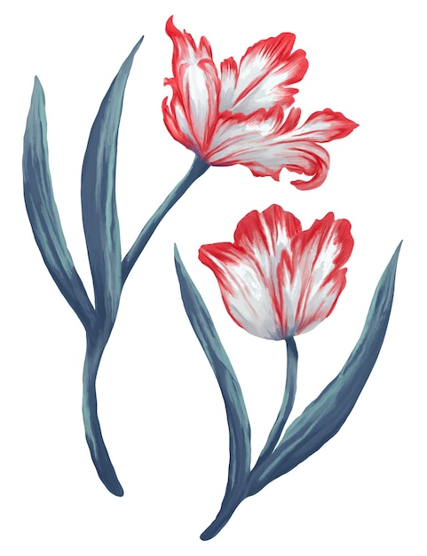 Red parrot tulips painting