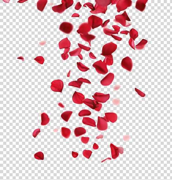 PSD red petals fall from the screen