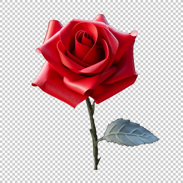 Red rose with green leaves isolated on transparent background