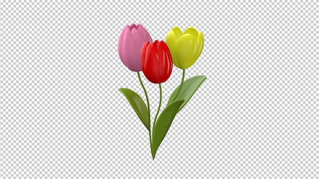 Red yellow pink tulips bouquet  on a transparent background Womens Day flowers 3d render