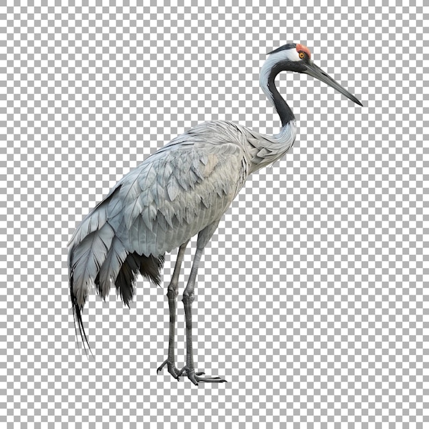 Redcrowned crane on Transparent Background Ai Generated